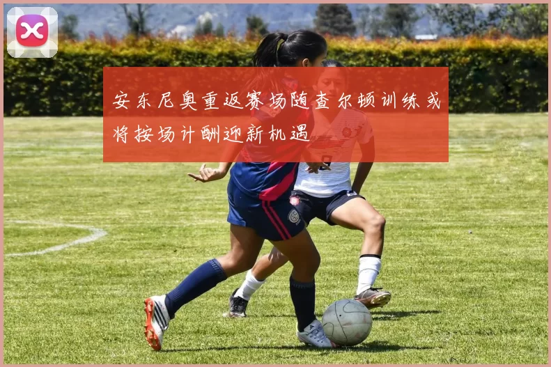 安东尼奥重返赛场随查尔顿训练或将按场计酬迎新机遇