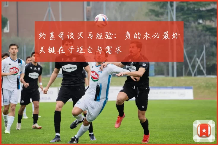 约基奇谈买马经验：贵的未必最好关键在于适合与需求